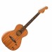 Fender Highway Series Parlor 電木吉他